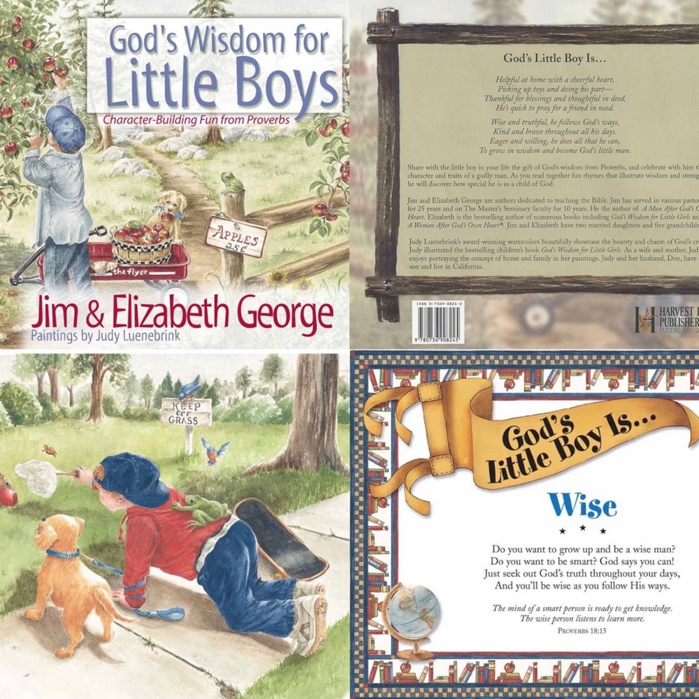 God's Wisdom for Little Boys Book